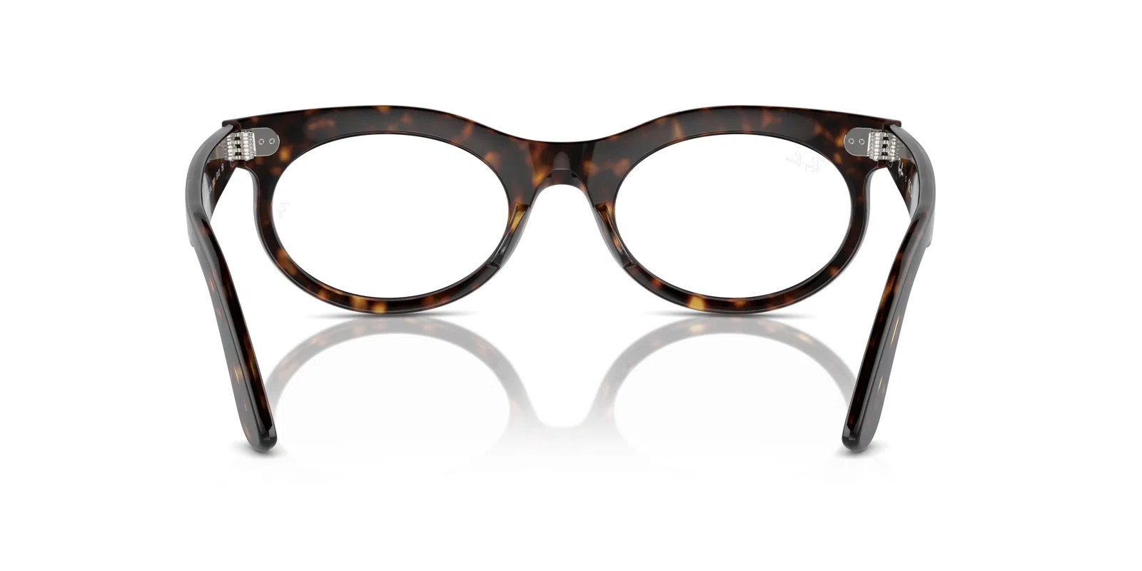 Ray-Ban Wayfarer Oval 2242VF Eyeglasses - view 31